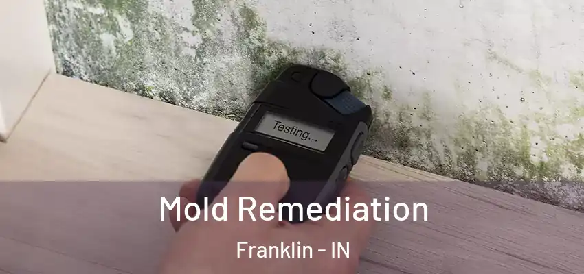  Mold Remediation Franklin - IN