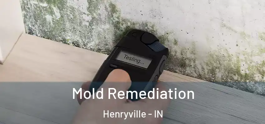  Mold Remediation Henryville - IN