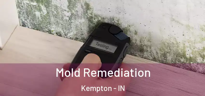  Mold Remediation Kempton - IN