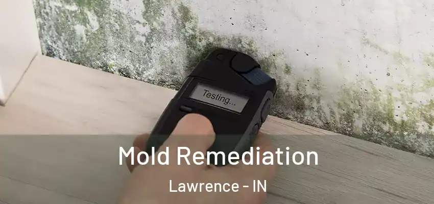  Mold Remediation Lawrence - IN