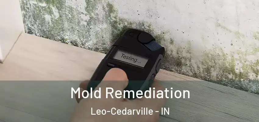  Mold Remediation Leo-Cedarville - IN