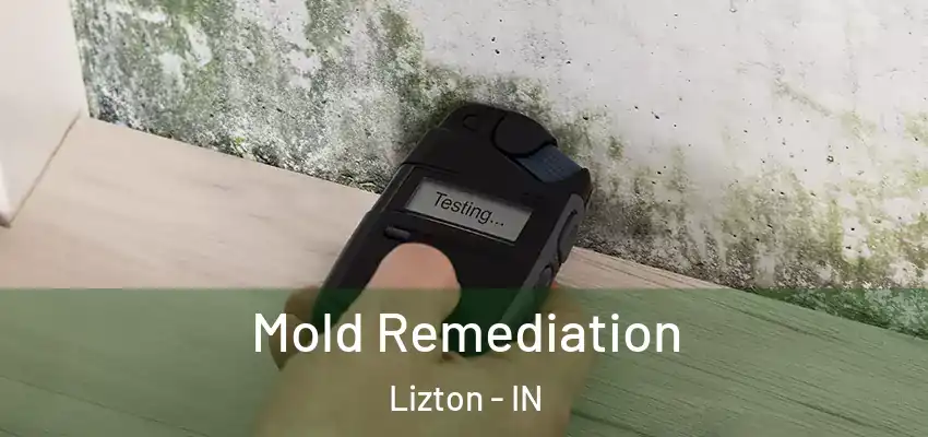  Mold Remediation Lizton - IN