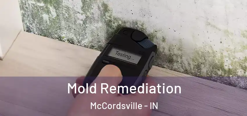  Mold Remediation McCordsville - IN