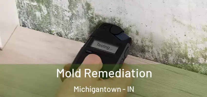 Mold Remediation Michigantown - IN