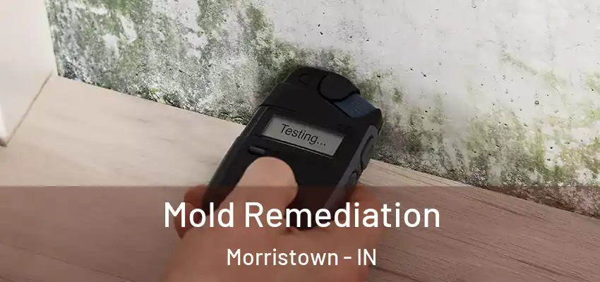  Mold Remediation Morristown - IN