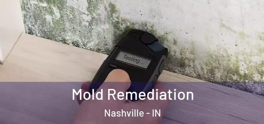  Mold Remediation Nashville - IN