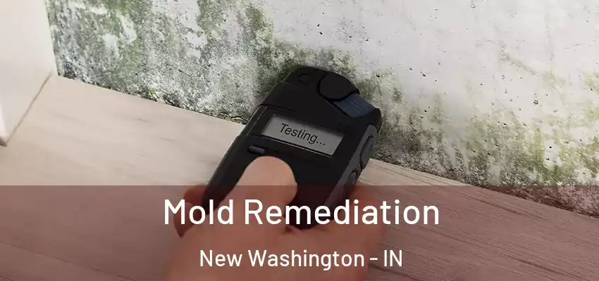  Mold Remediation New Washington - IN