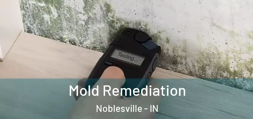  Mold Remediation Noblesville - IN