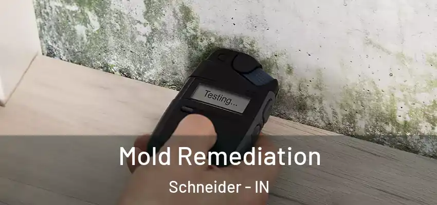  Mold Remediation Schneider - IN