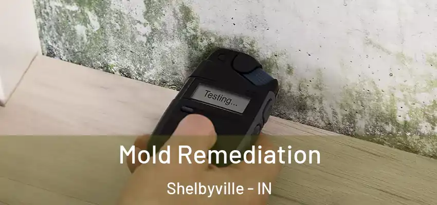  Mold Remediation Shelbyville - IN