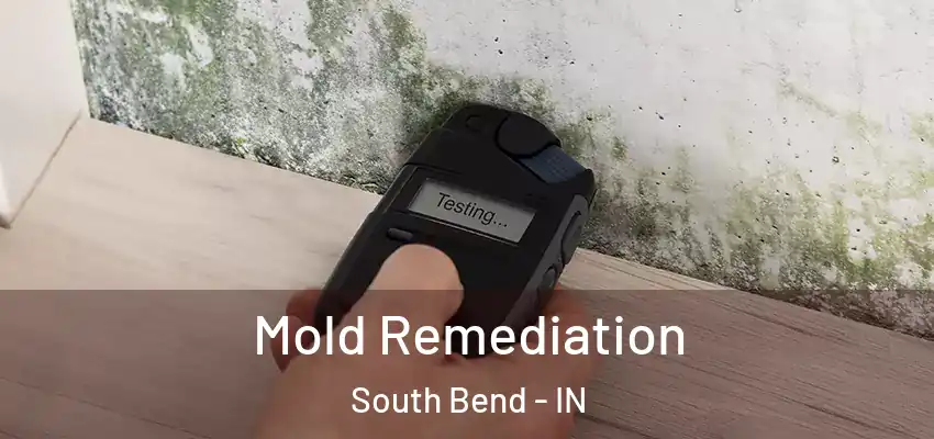  Mold Remediation South Bend - IN