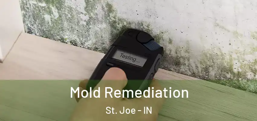  Mold Remediation St. Joe - IN
