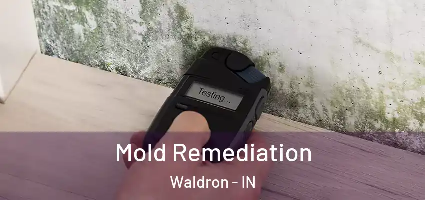 Mold Remediation Waldron - IN