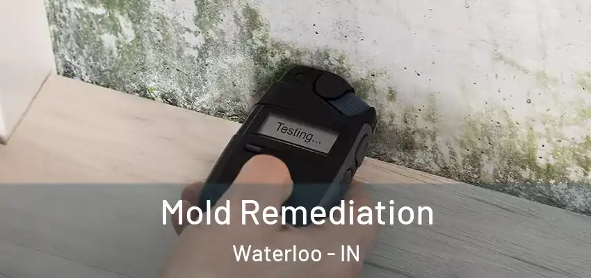  Mold Remediation Waterloo - IN