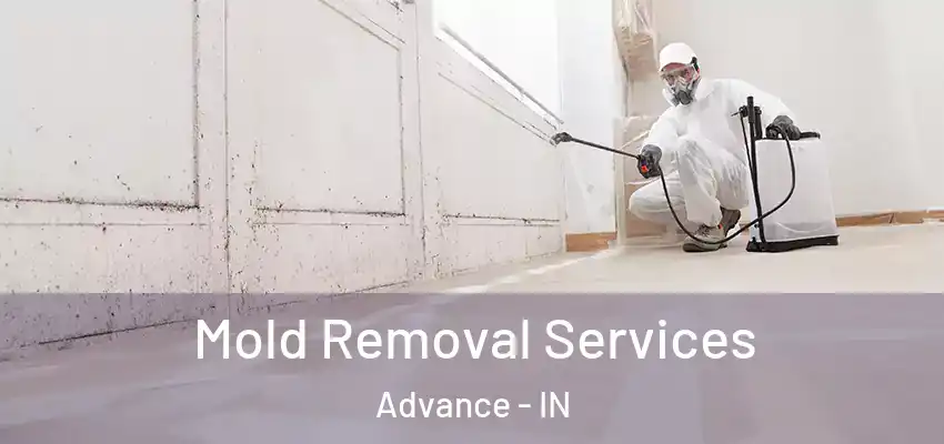  Mold Removal Services Advance - IN