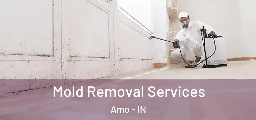  Mold Removal Services Amo - IN