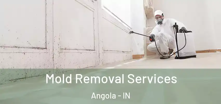  Mold Removal Services Angola - IN
