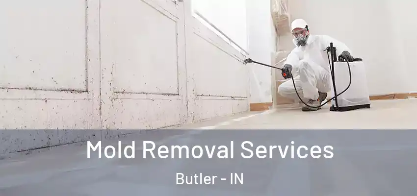  Mold Removal Services Butler - IN