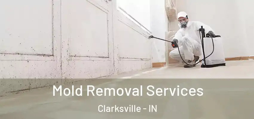  Mold Removal Services Clarksville - IN
