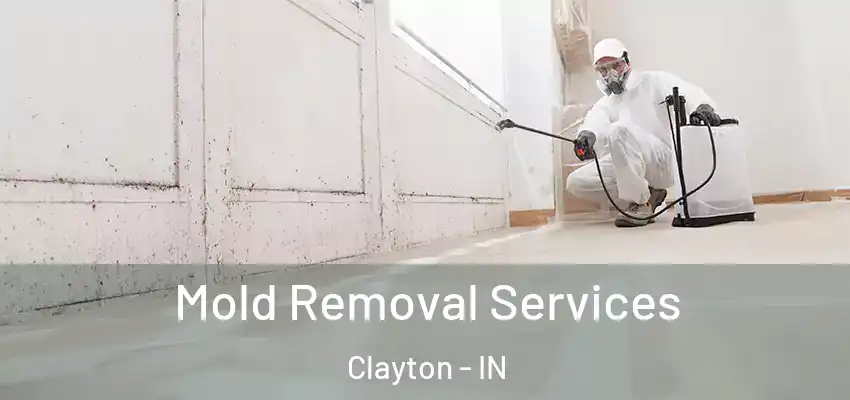  Mold Removal Services Clayton - IN