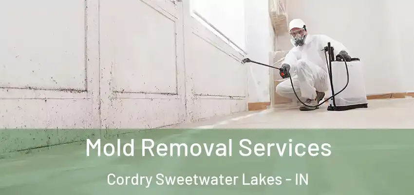  Mold Removal Services Cordry Sweetwater Lakes - IN