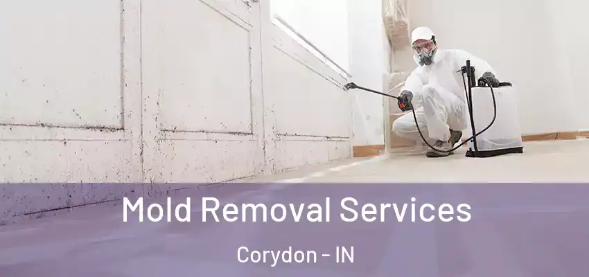 Mold Removal Services Corydon - IN