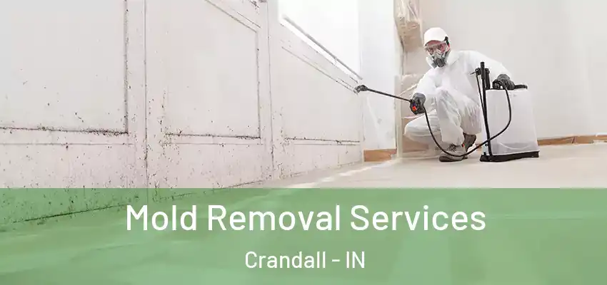  Mold Removal Services Crandall - IN
