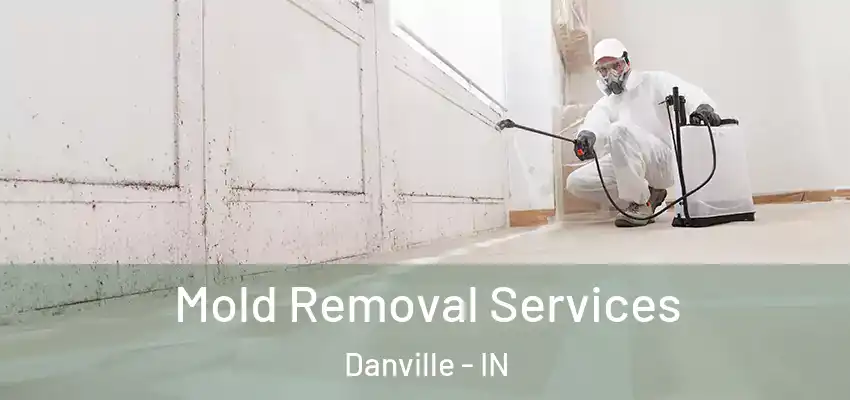  Mold Removal Services Danville - IN