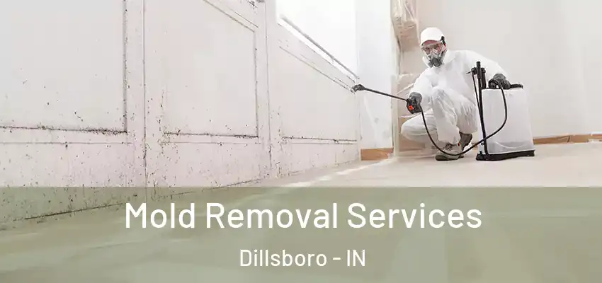  Mold Removal Services Dillsboro - IN