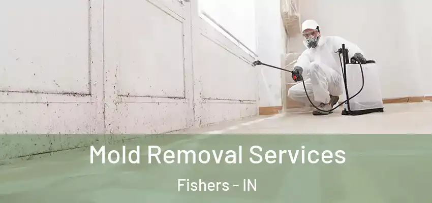  Mold Removal Services Fishers - IN