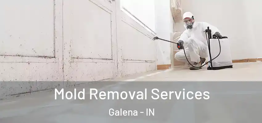  Mold Removal Services Galena - IN