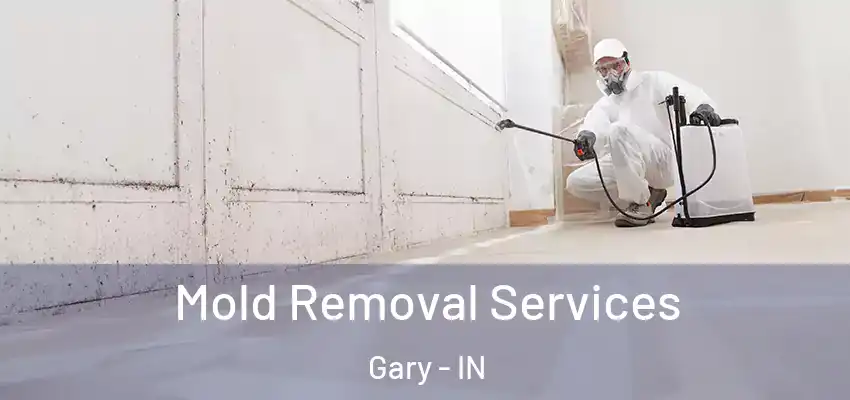  Mold Removal Services Gary - IN