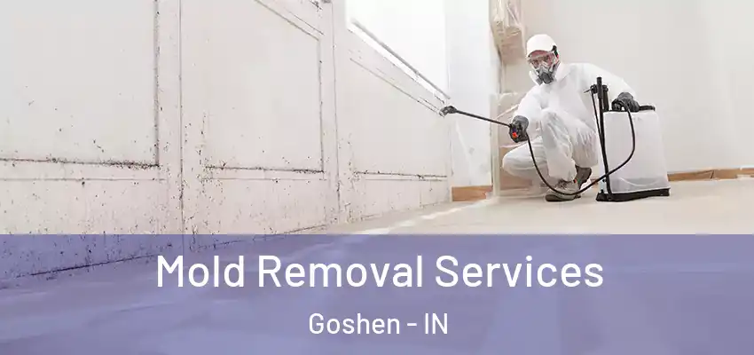  Mold Removal Services Goshen - IN