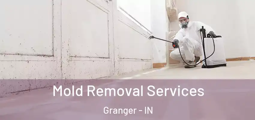  Mold Removal Services Granger - IN