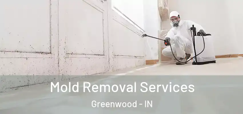  Mold Removal Services Greenwood - IN