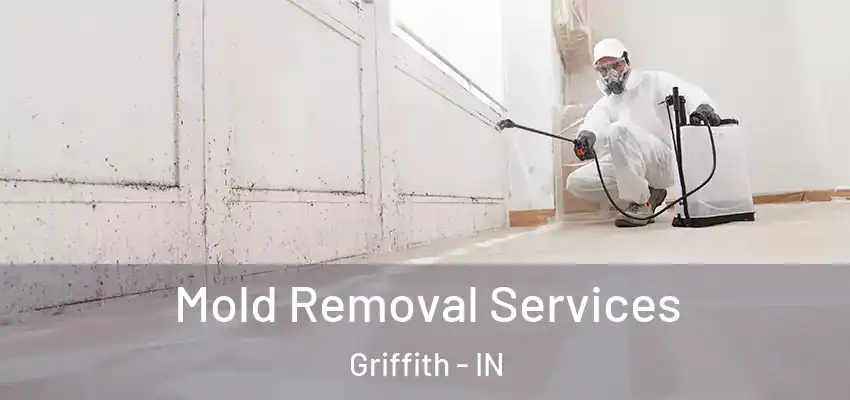  Mold Removal Services Griffith - IN