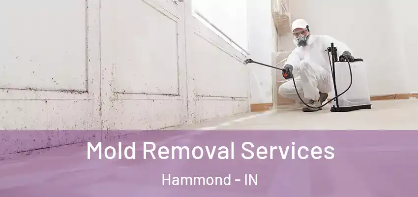  Mold Removal Services Hammond - IN