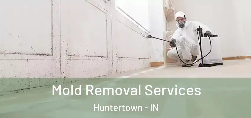 Mold Removal Services Huntertown - IN