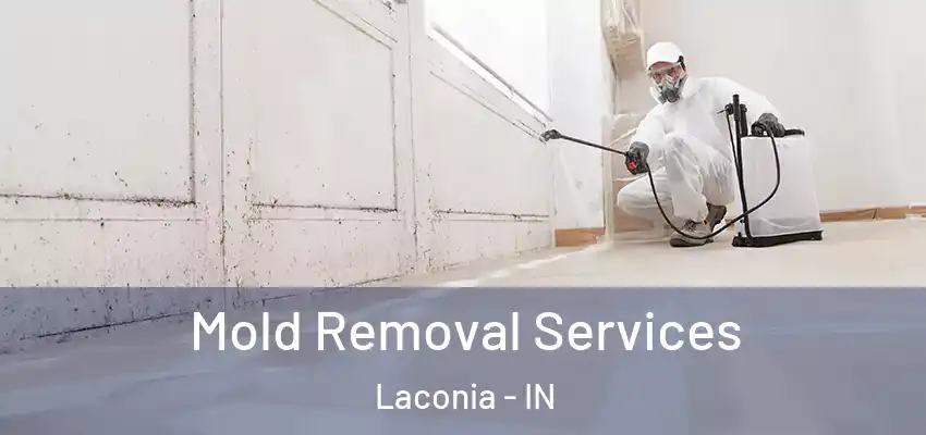  Mold Removal Services Laconia - IN