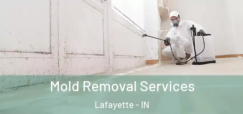  Mold Removal Services Lafayette - IN