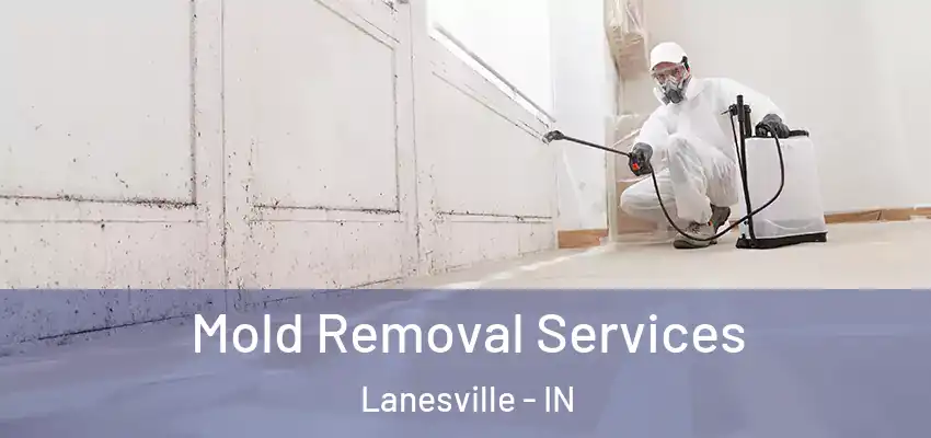  Mold Removal Services Lanesville - IN