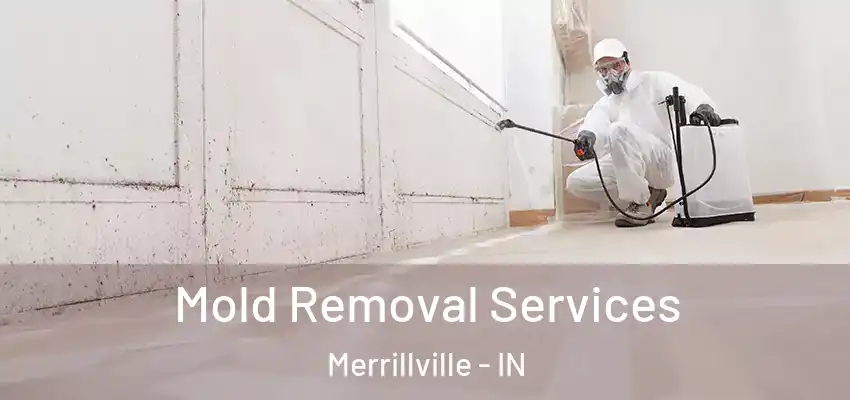  Mold Removal Services Merrillville - IN