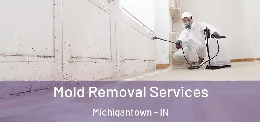  Mold Removal Services Michigantown - IN