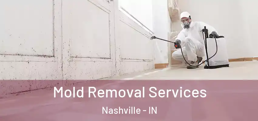  Mold Removal Services Nashville - IN