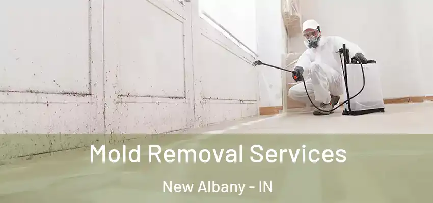  Mold Removal Services New Albany - IN