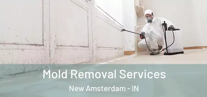  Mold Removal Services New Amsterdam - IN
