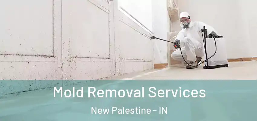  Mold Removal Services New Palestine - IN