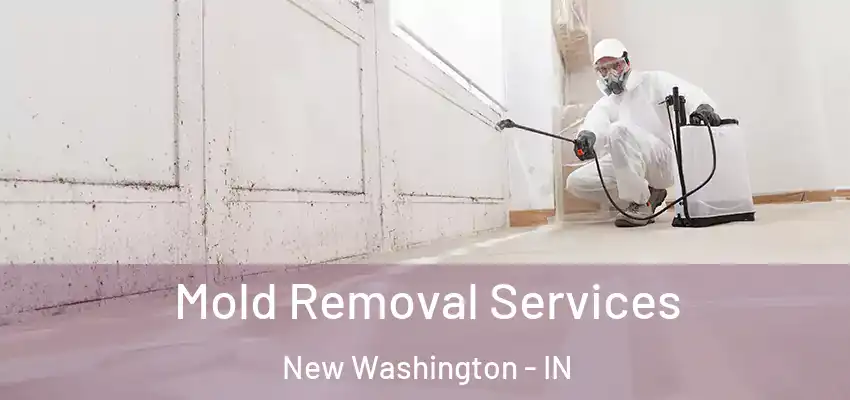  Mold Removal Services New Washington - IN