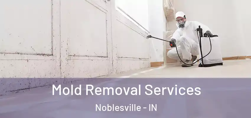 Mold Removal Services Noblesville - IN