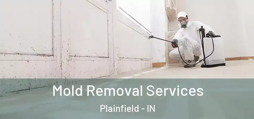  Mold Removal Services Plainfield - IN